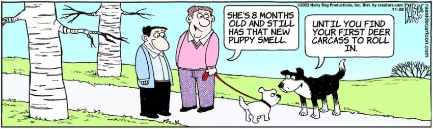 The Other Coast for Nov 28, 2023