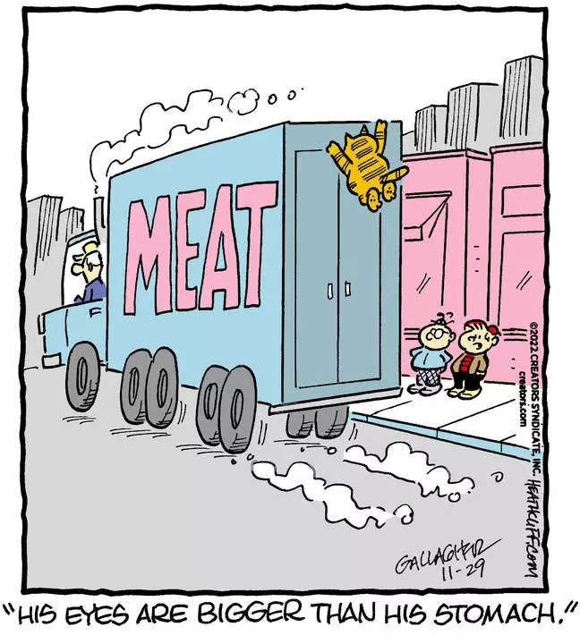 Heathcliff for Nov 29, 2022