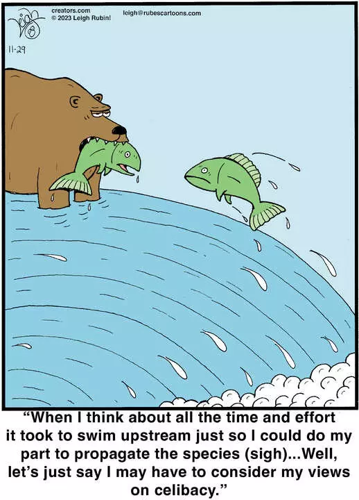 Rubes® for Nov 29, 2023