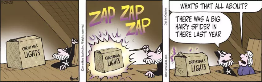 Wizard of Id for Nov 29, 2023