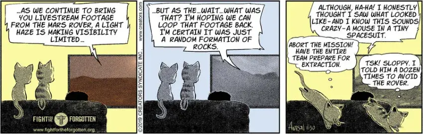 Dog Eat Doug for Nov 30, 2024