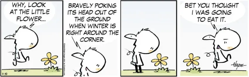 The Barn for Nov 30, 2024