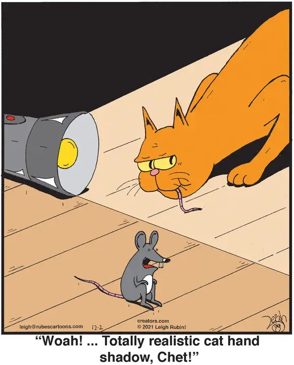 Rubes® for Dec 02, 2021