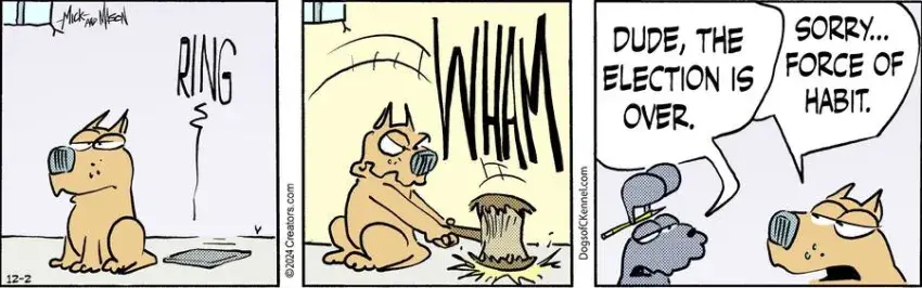 Dogs of C-Kennel for Dec 02, 2024