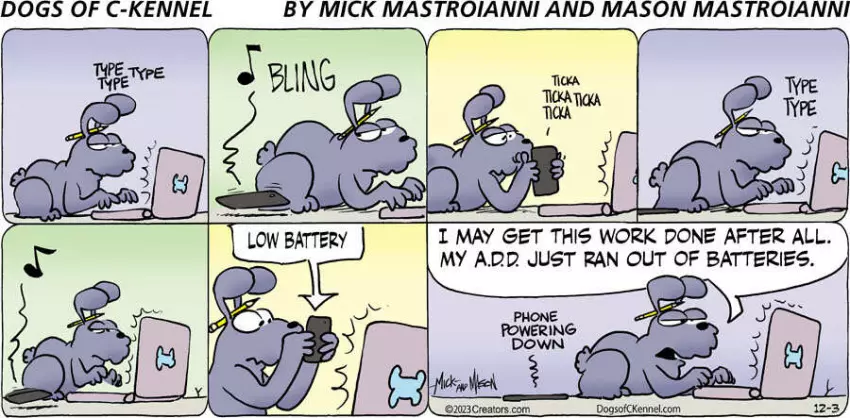 Dogs of C-Kennel for Dec 03, 2023