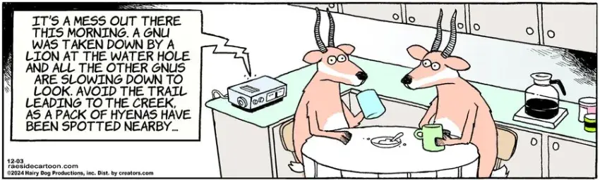 The Other Coast for Dec 03, 2024