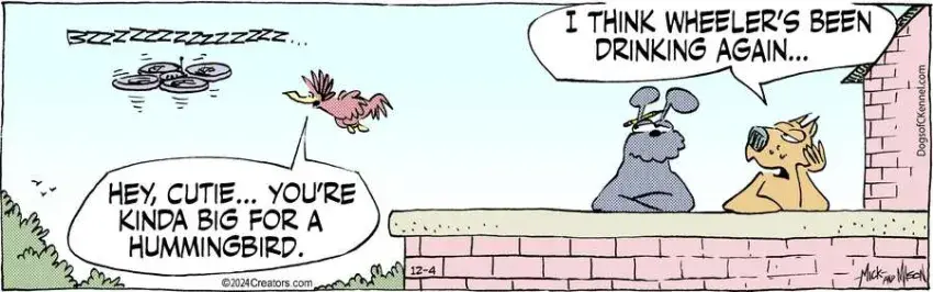 Dogs of C-Kennel for Dec 04, 2024