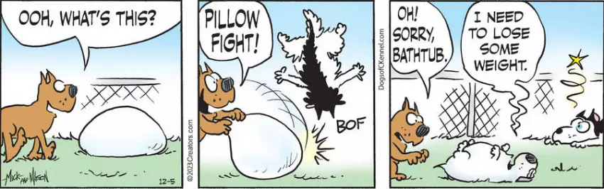 Dogs of C-Kennel for Dec 05, 2023