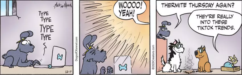 Dogs of C-Kennel for Dec 07, 2023