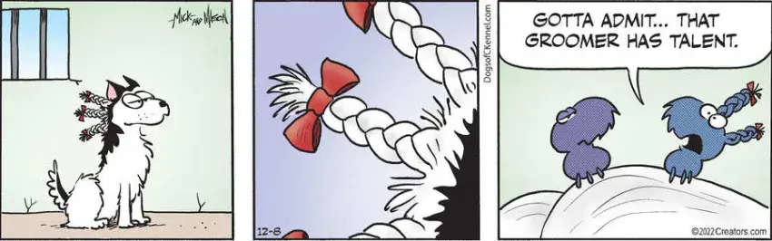 Dogs of C-Kennel for Dec 08, 2022