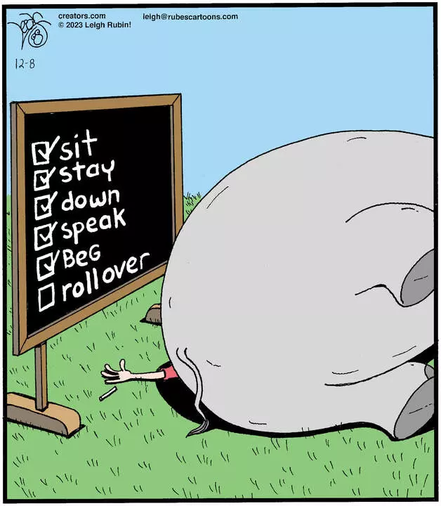 Rubes® for Dec 08, 2023