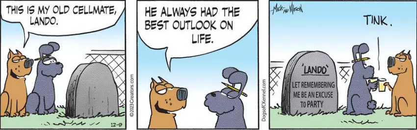 Dogs of C-Kennel for Dec 09, 2023