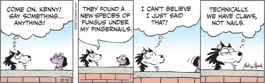 Dogs of C-Kennel for Dec 10, 2021