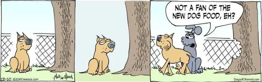 Dogs of C-Kennel for Dec 10, 2024