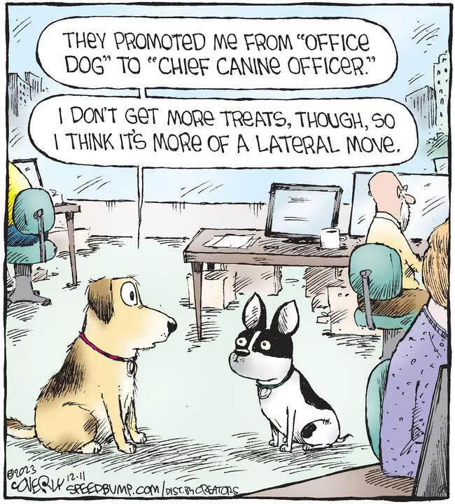 Speed Bump for Dec 11, 2023