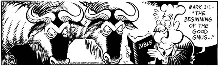 For Heaven's Sake for Dec 11, 2023