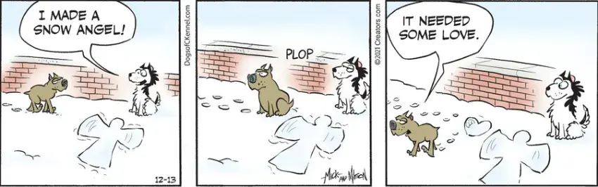 Dogs of C-Kennel for Dec 13, 2021