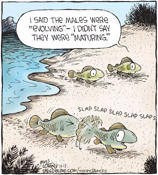 Speed Bump for Dec 13, 2023