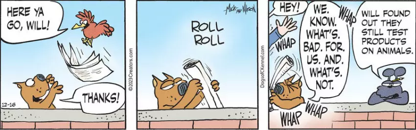 Dogs of C-Kennel for Dec 16, 2023