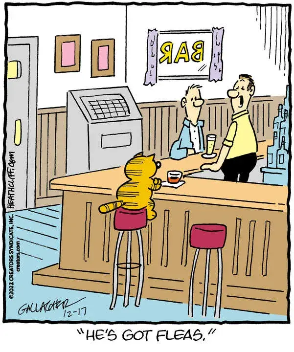 Heathcliff for Dec 17, 2022