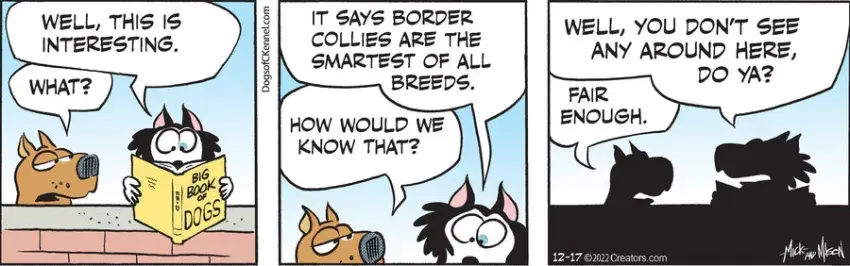 Dogs of C-Kennel for Dec 17, 2022
