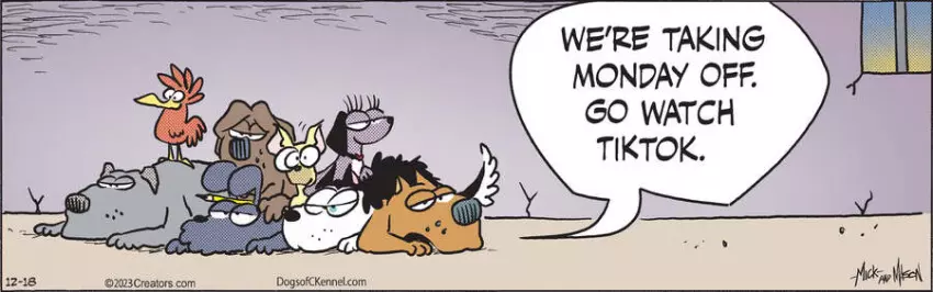 Dogs of C-Kennel for Dec 18, 2023