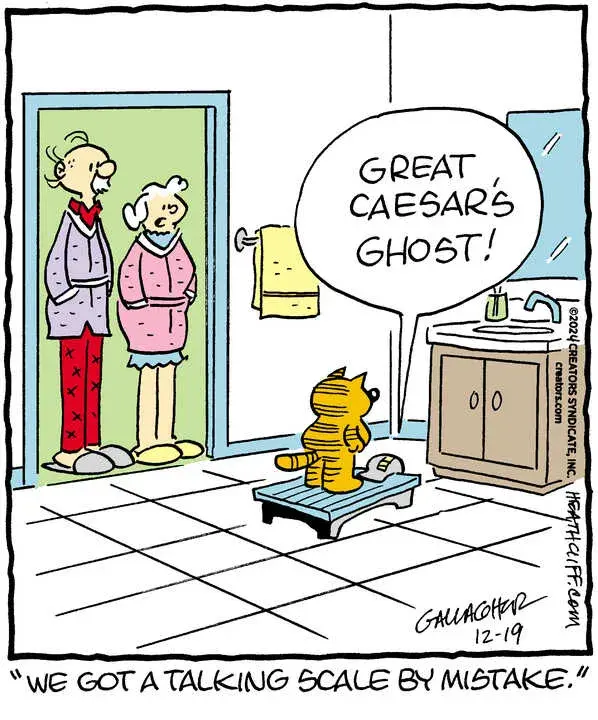 Heathcliff for Dec 19, 2024
