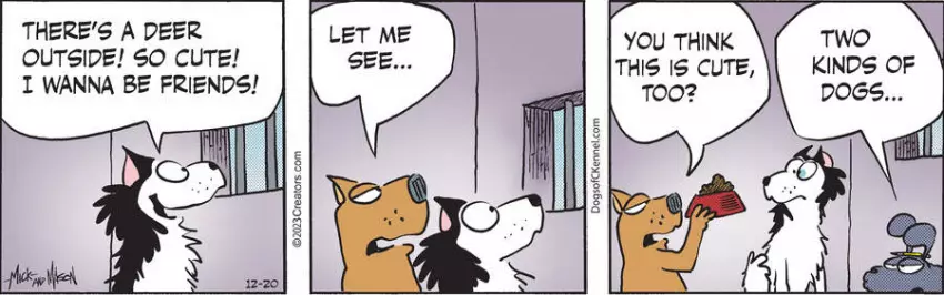 Dogs of C-Kennel for Dec 20, 2023