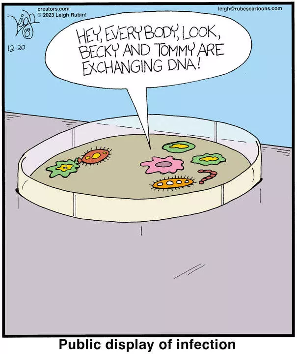 Rubes® for Dec 20, 2023