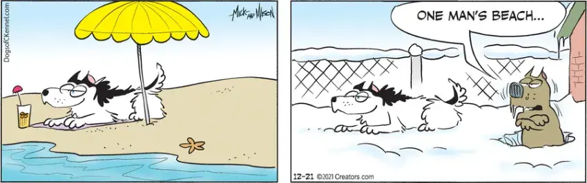 Dogs of C-Kennel for Dec 21, 2021