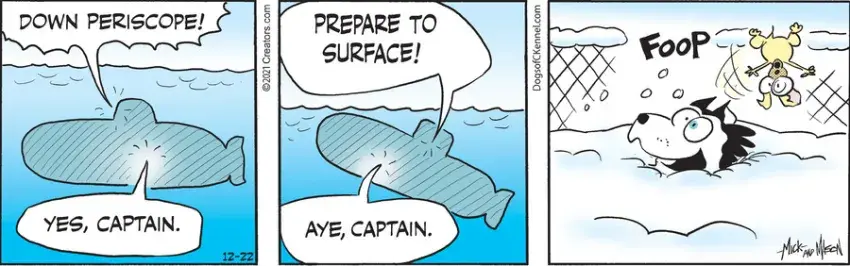 Dogs of C-Kennel for Dec 22, 2021