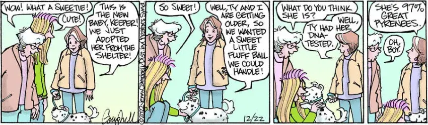 Flo & Friends for Dec 22, 2022