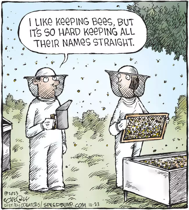 Speed Bump for Dec 23, 2023