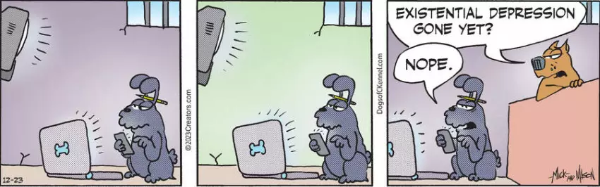 Dogs of C-Kennel for Dec 23, 2023