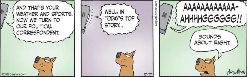 Dogs of C-Kennel for Dec 27, 2022