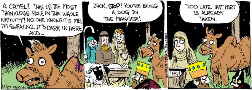 Zack Hill for Dec 27, 2023