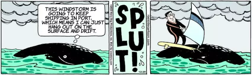 The Other Coast for Dec 29, 2023