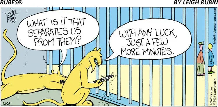 Rubes® for Dec 29, 2024