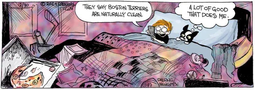 Zack Hill for Dec 30, 2024