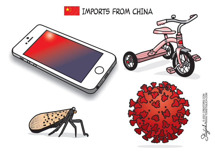 Tom Stiglich for Aug 19, 2021